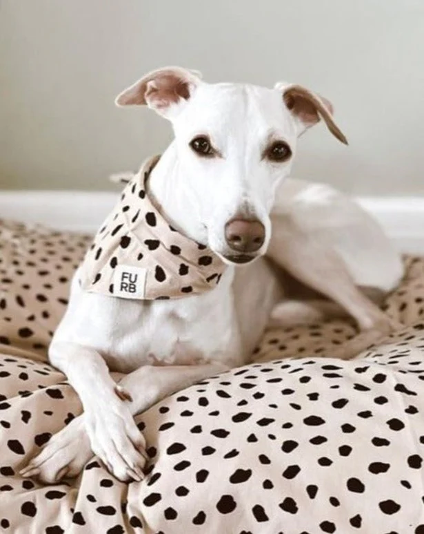 Apollo Dot Print Bandana