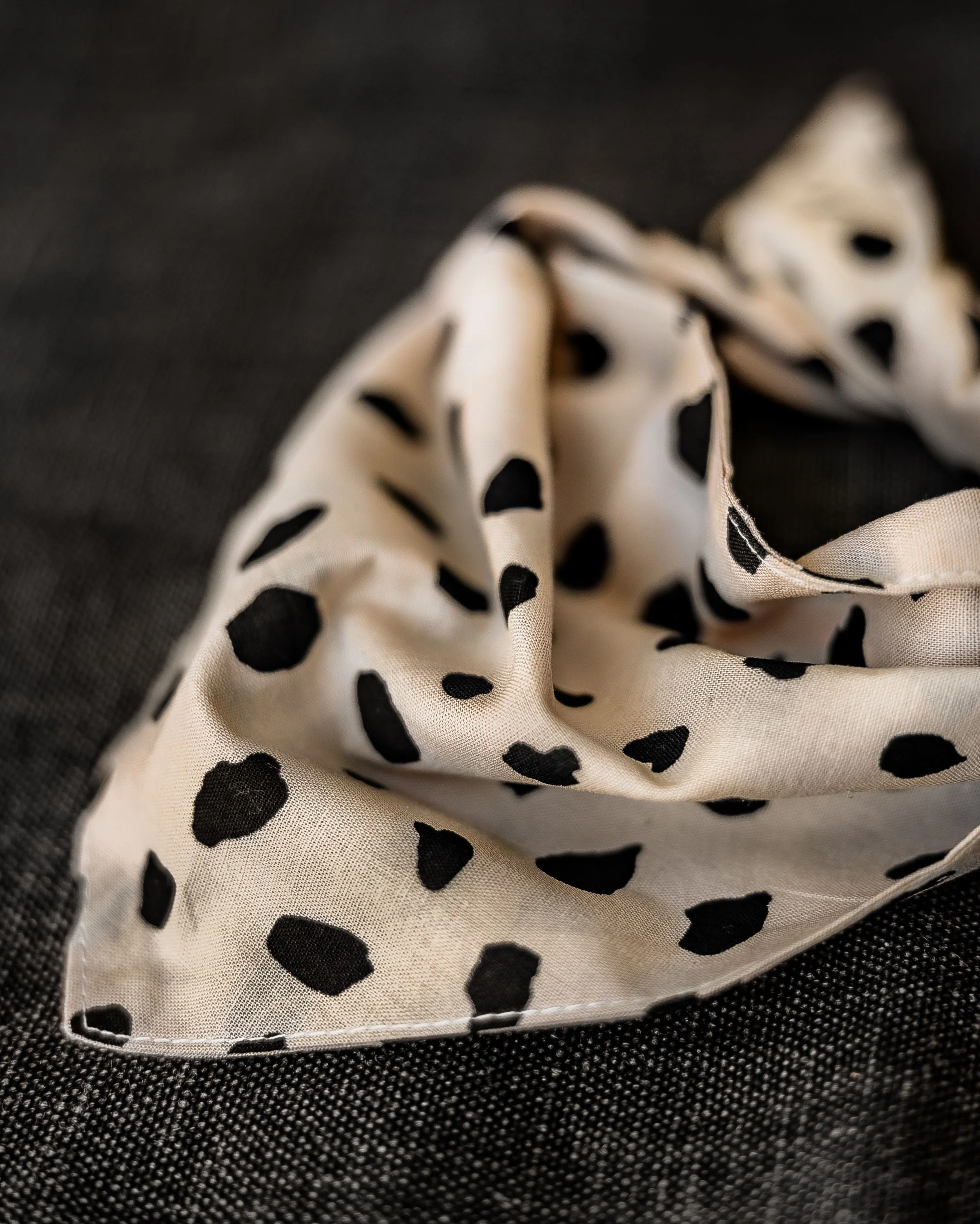 Apollo Dot Print Bandana - Image 2