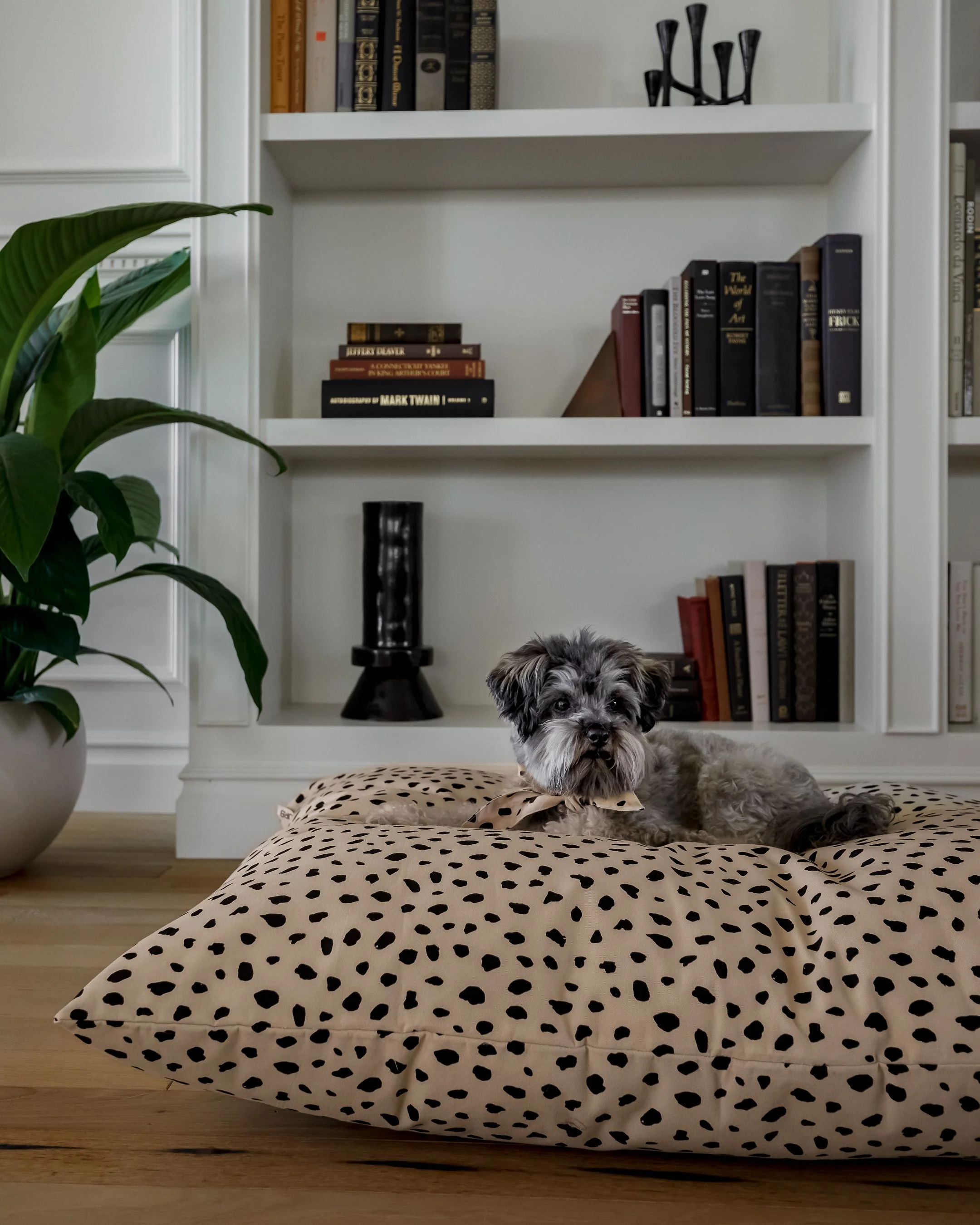 Apollo Dot Print Dog Bed - Image 4