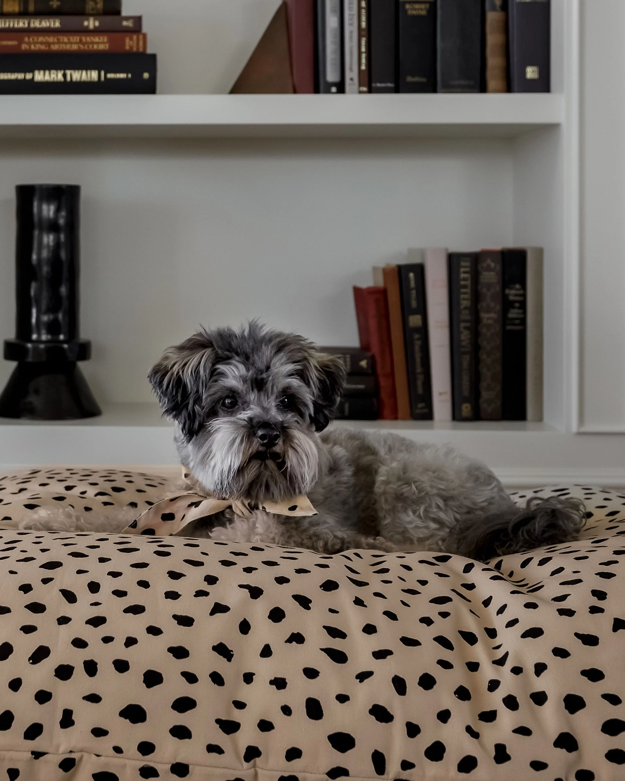 Apollo Dot Print Dog Bed - Image 9