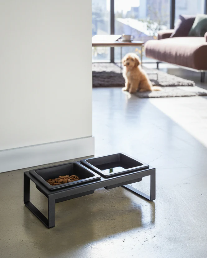 Snack Society Black Dog Bowl Set