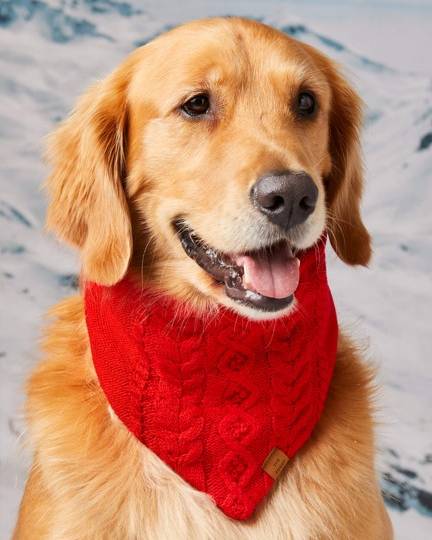 Total Sleigh Red Cable Knit Dog Bandana