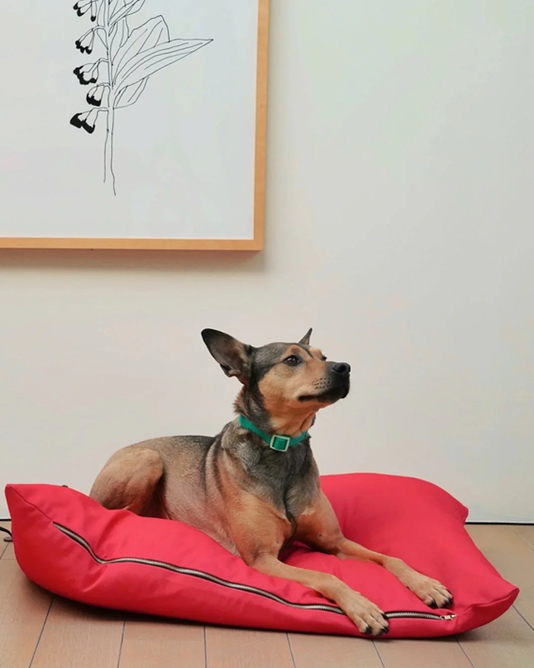 Sweet Siesta Red Dog Bed