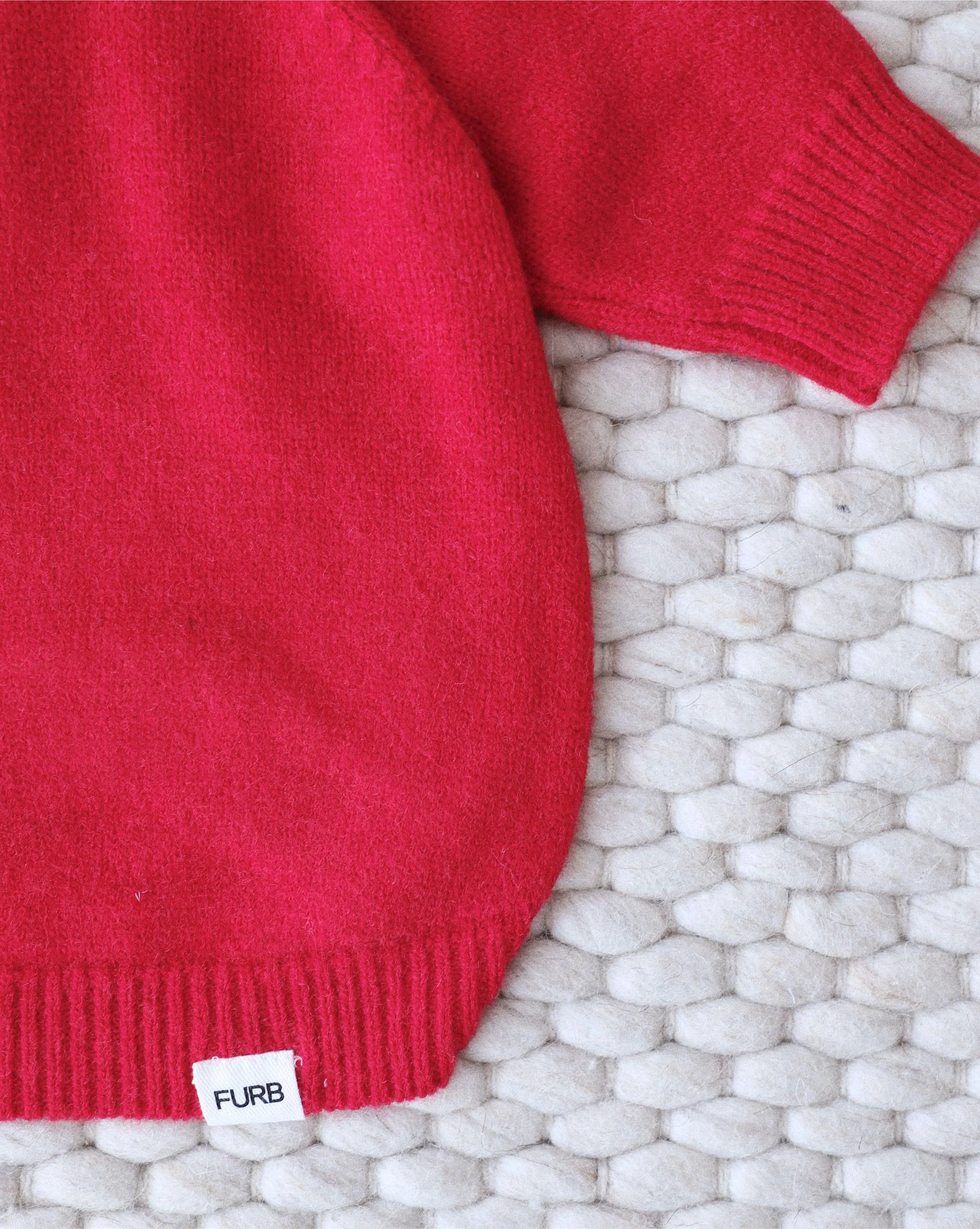 Venice Varsity Red Dog Hoodie - Image 4