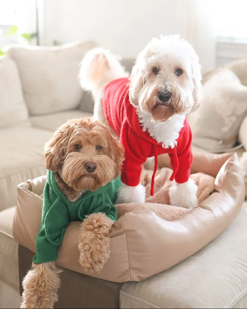 Venice Varsity Red Dog Hoodie - Image 5