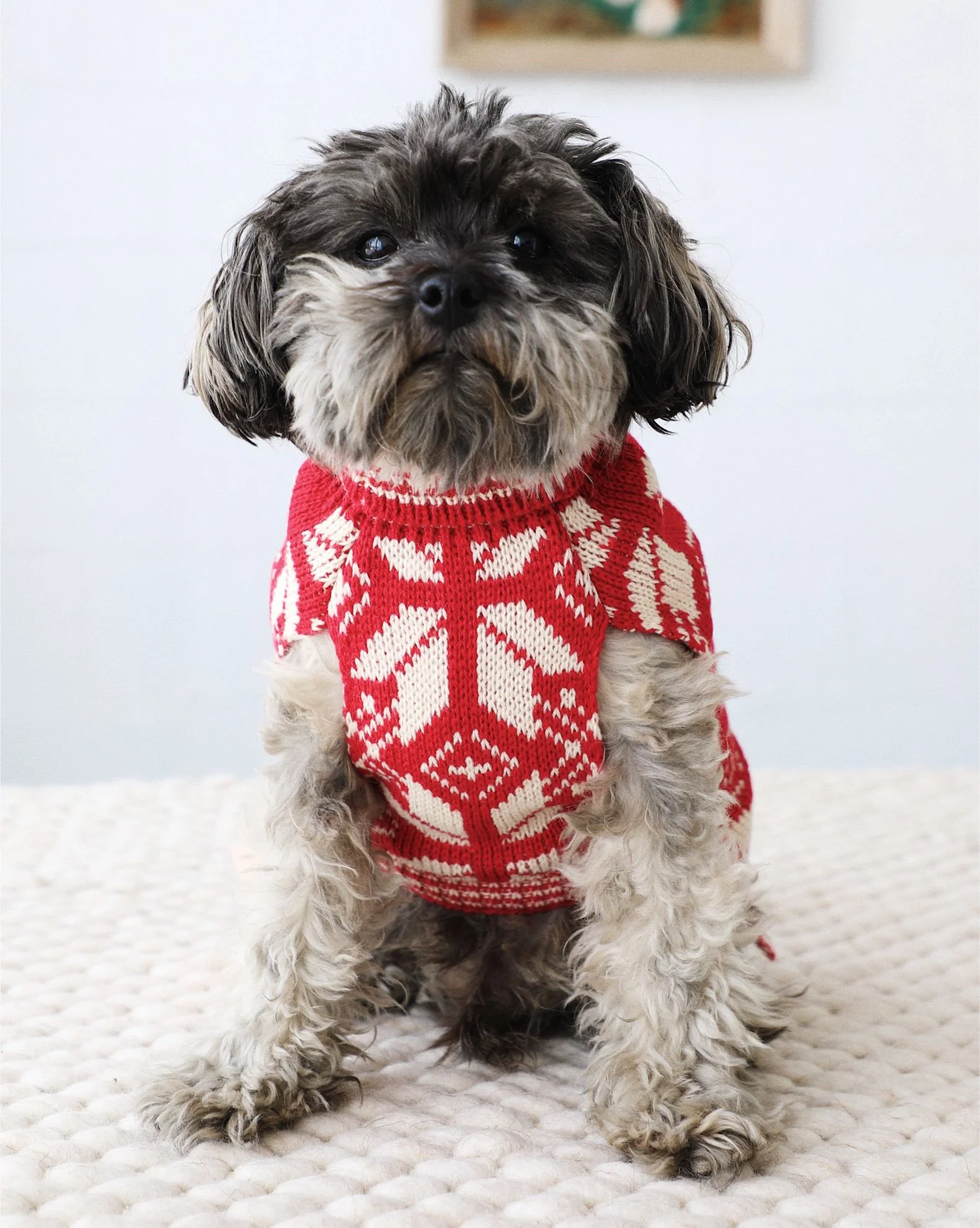 Santa Paws Knit Dog Sweater - Image 2