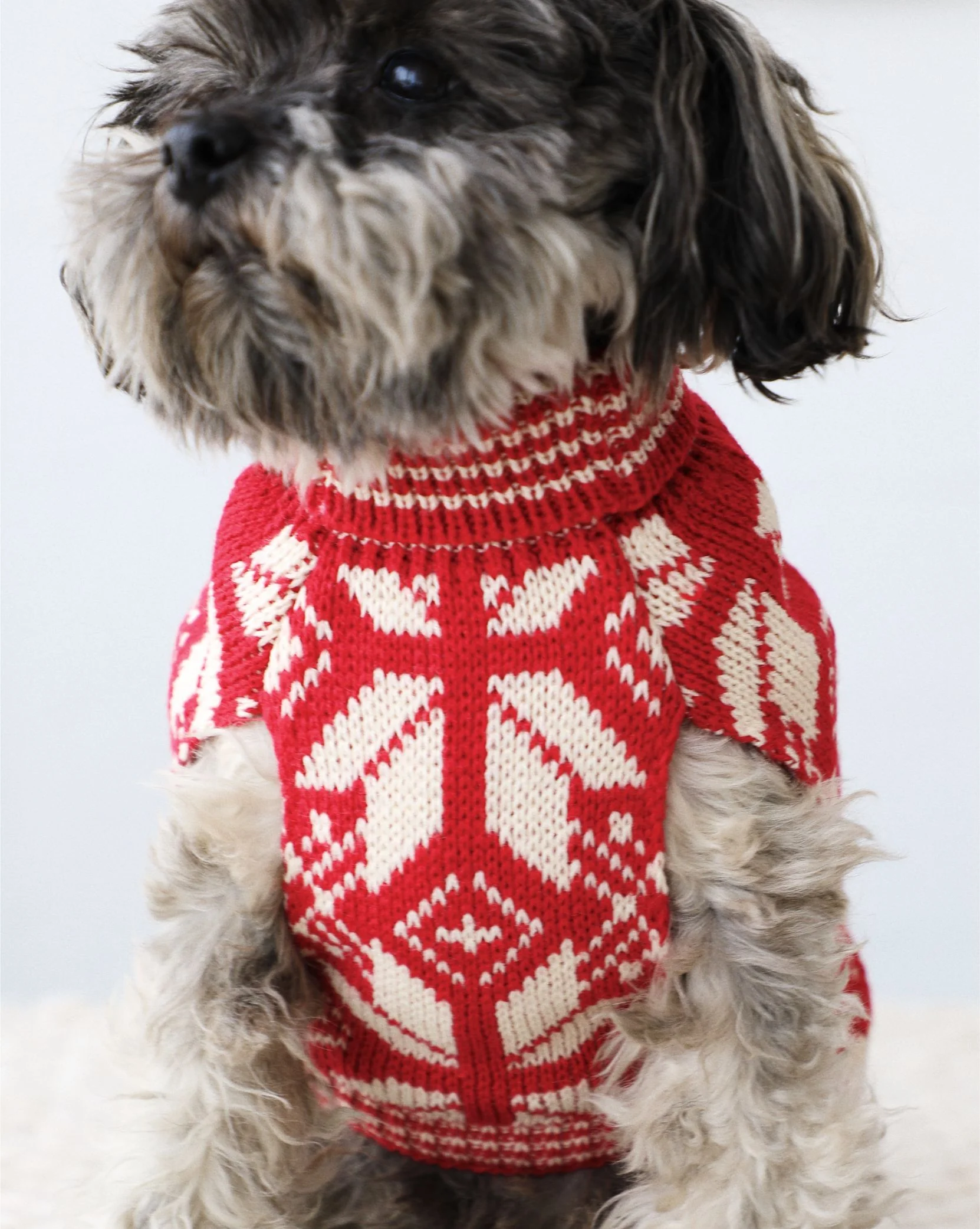 Santa Paws Knit Dog Sweater - Image 4