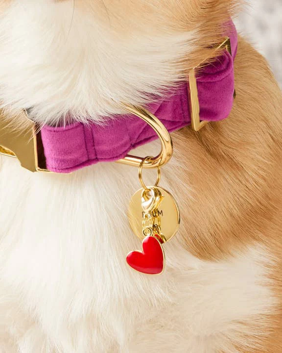 Red Heart Collar Charm - Image 2