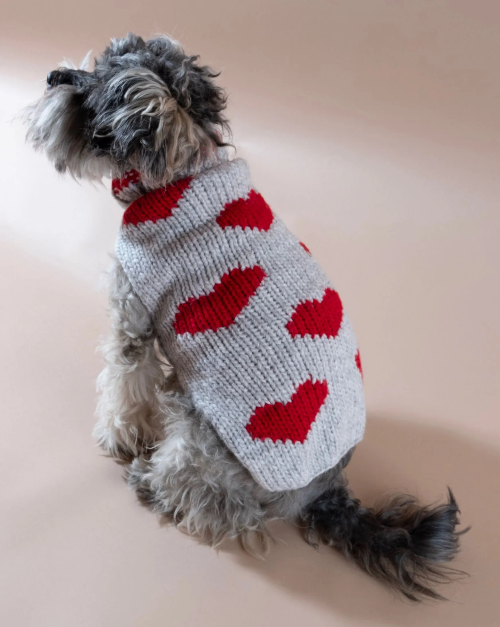 Stealing Hearts Dog Sweater - Image 2