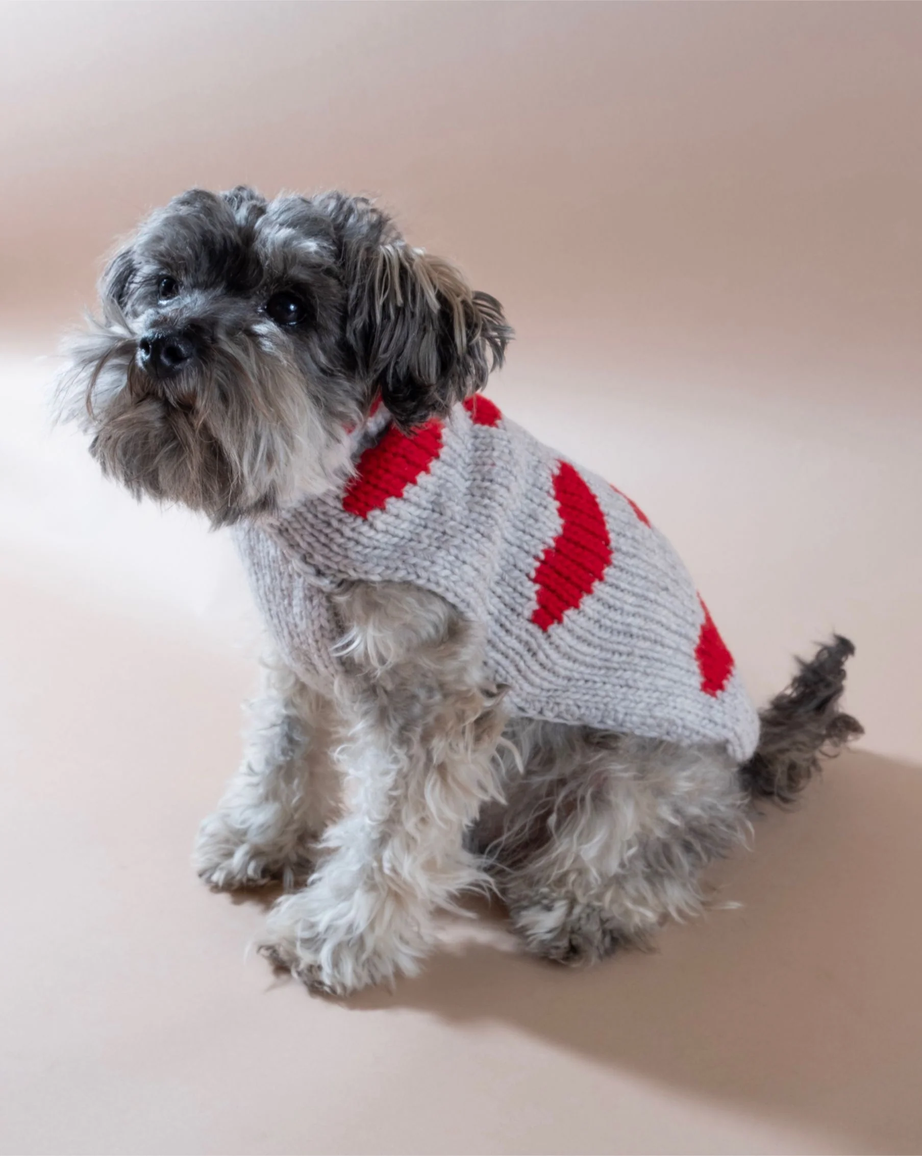 Stealing Hearts Dog Sweater - Image 4