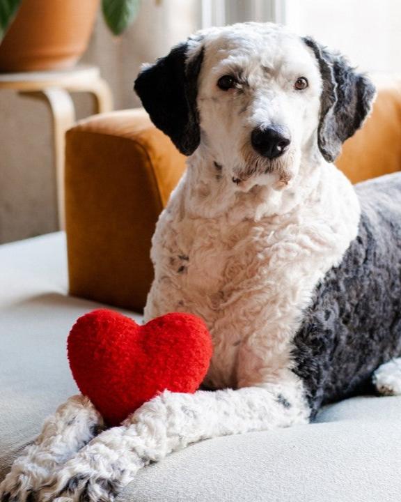 Heart to Heart Red Fleece Toy - Image 3