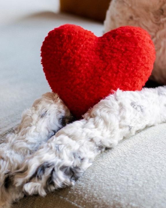 Heart to Heart Red Fleece Toy - Image 4