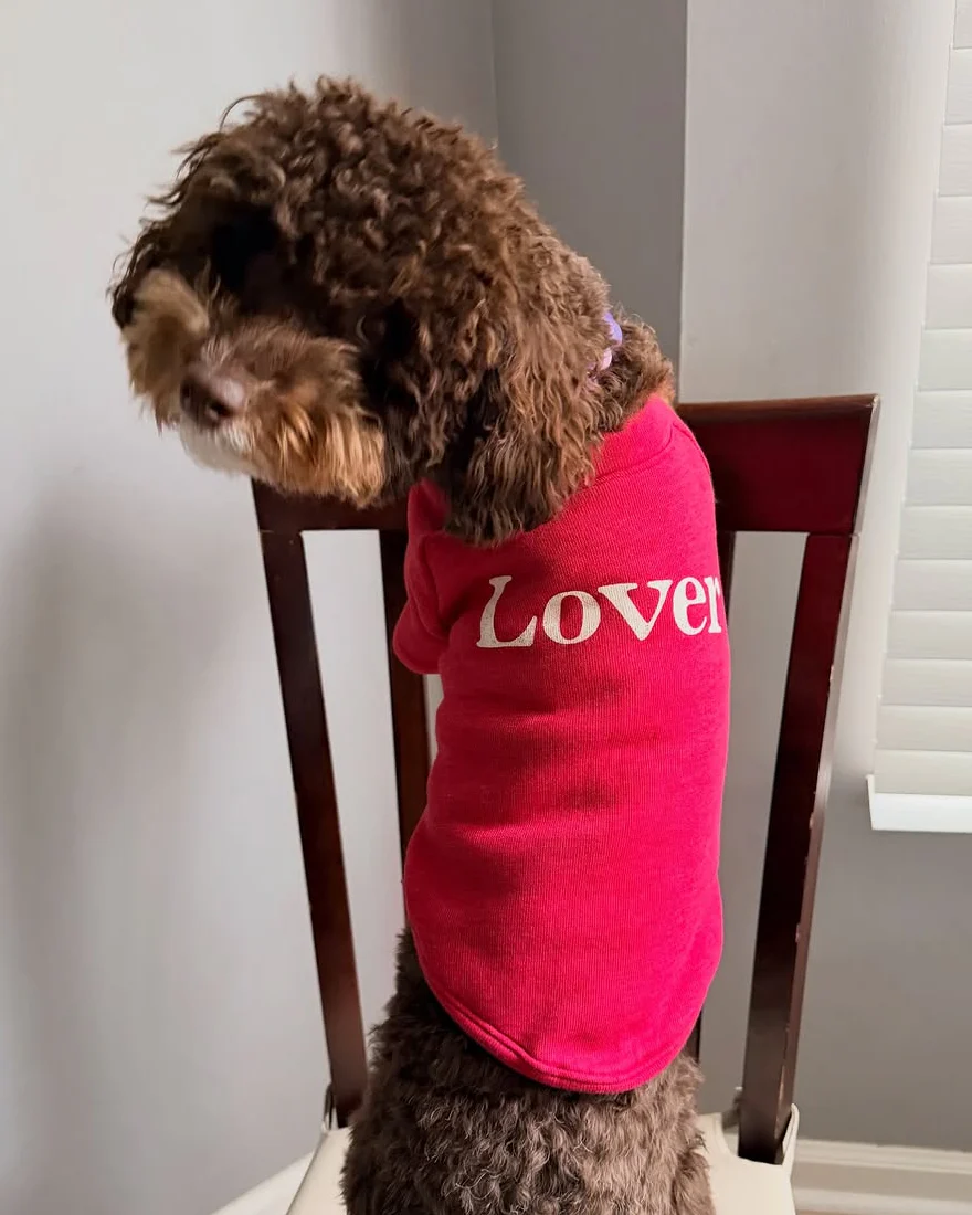 Lil' Lover Red Dog Sweatshirt - Image 5