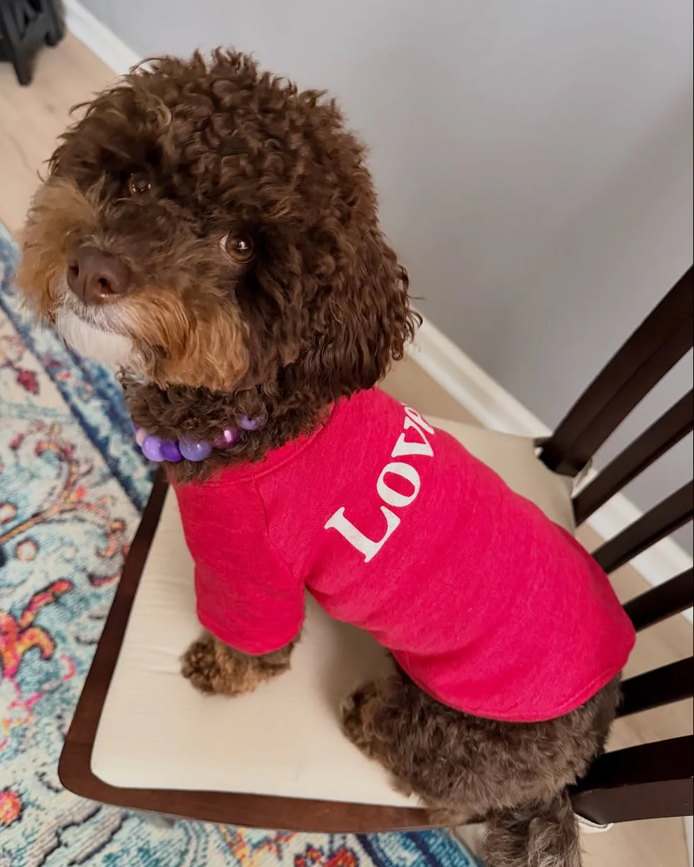 Lil' Lover Red Dog Sweatshirt - Image 6