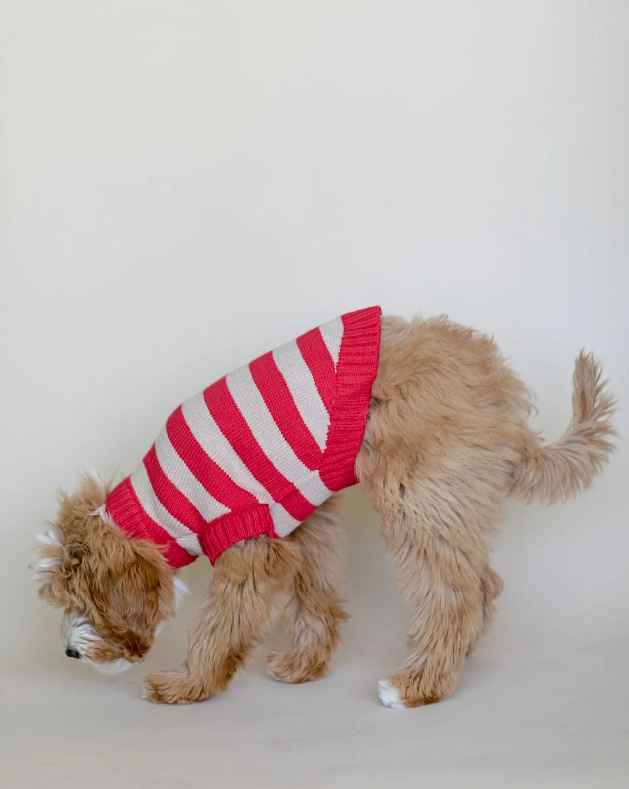 Candy Crush Red Striped Sweater Vest - Image 6