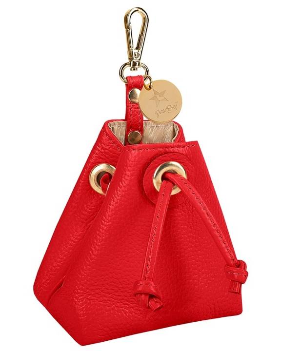 Demure Dog Red Leather Treat Bag
