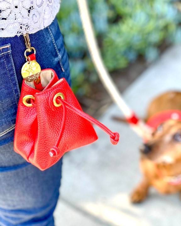Demure Dog Red Leather Treat Bag - Image 2