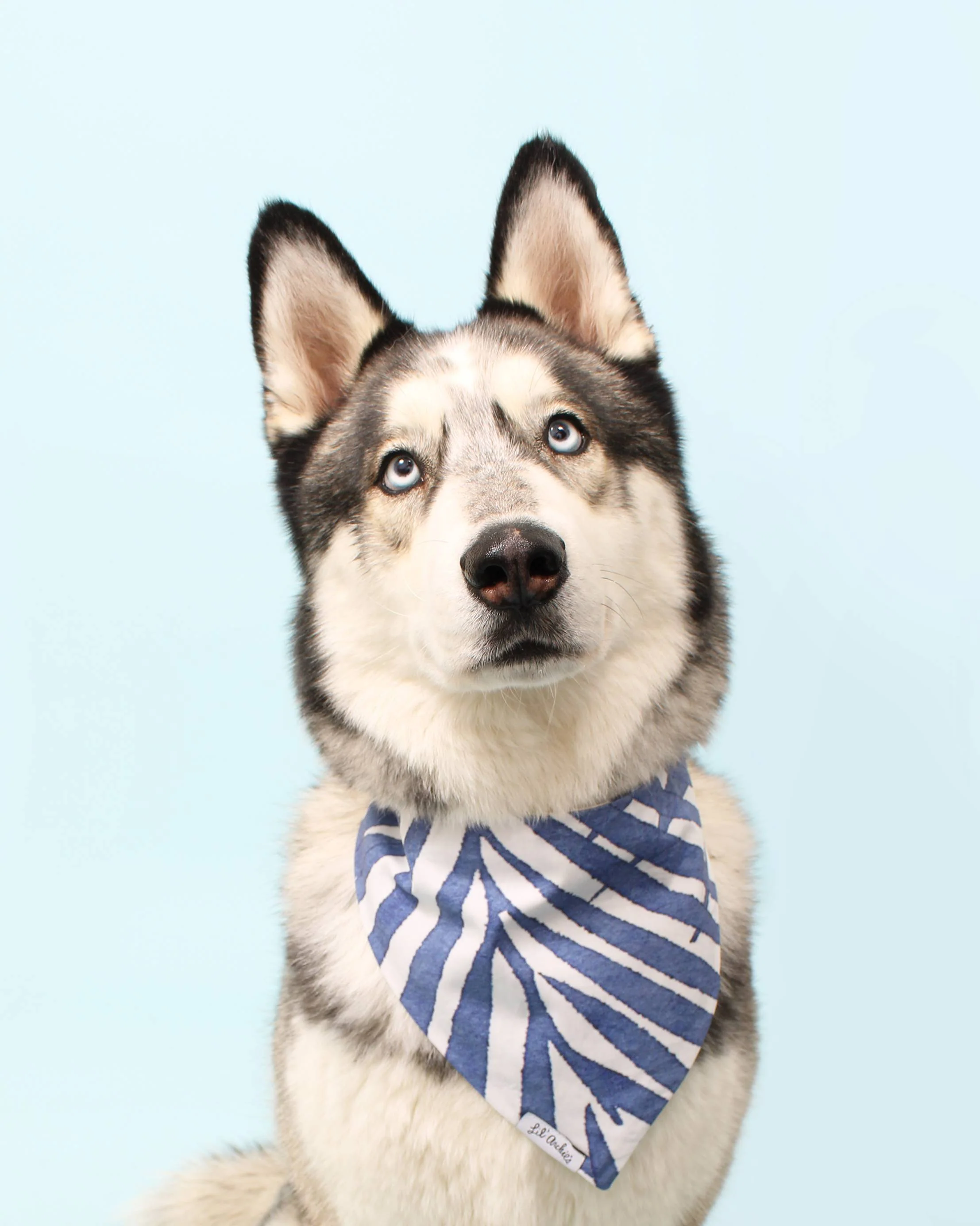 St. Barts Reversible Blue Palm Cotton Bandana - Image 3