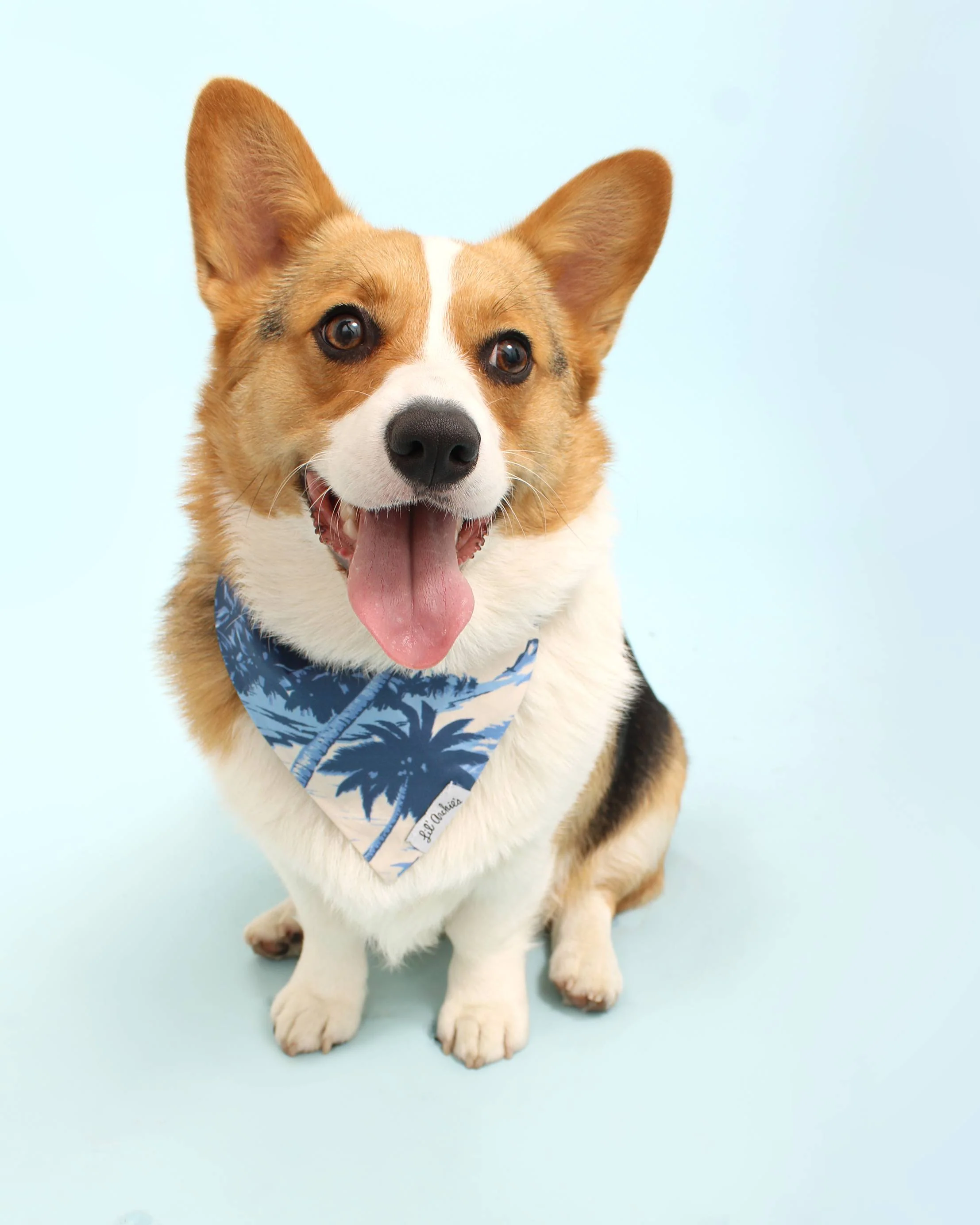 St. Barts Reversible Blue Palm Cotton Bandana - Image 4