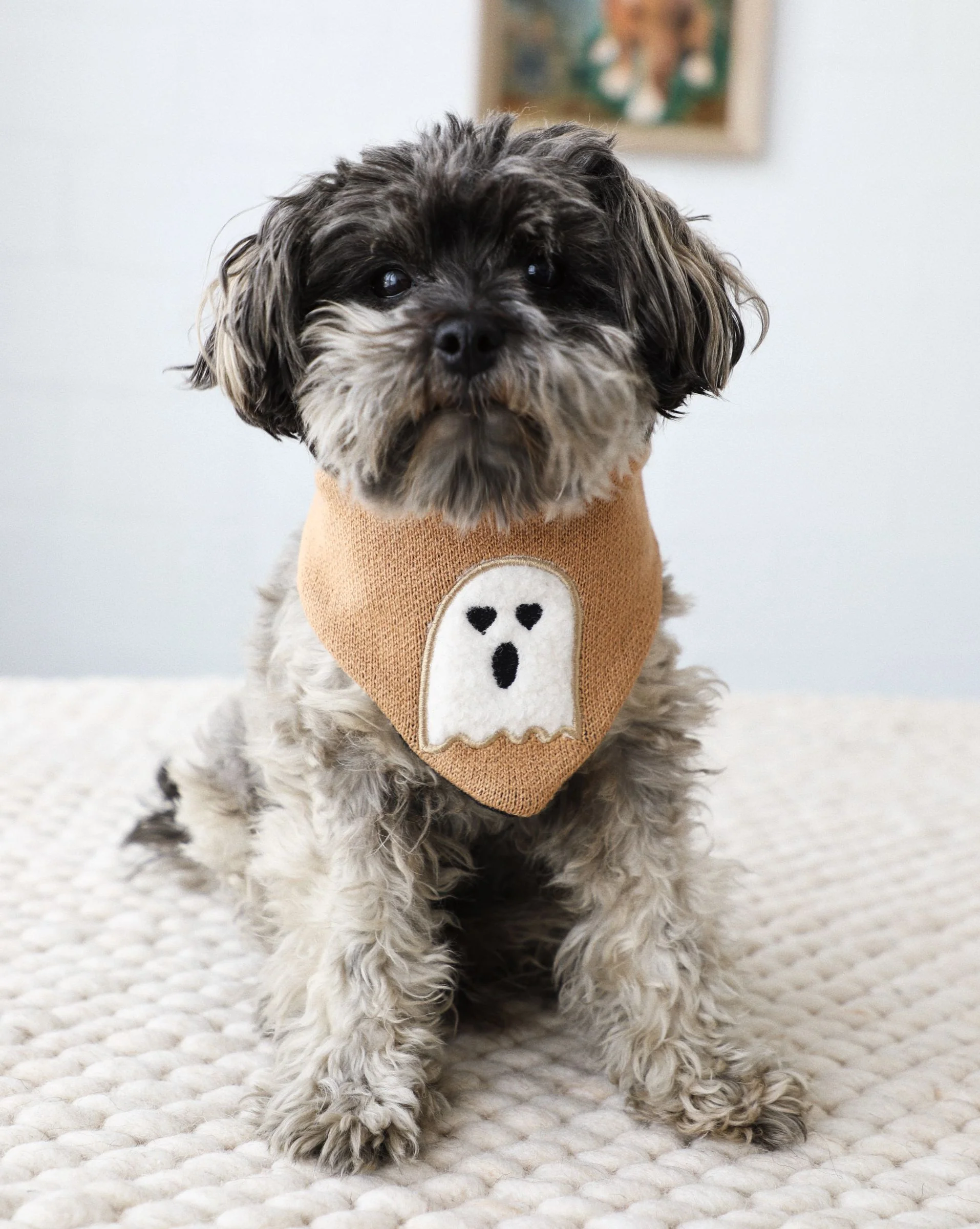 Boo Thang Reversible Dog Bandana - Image 2