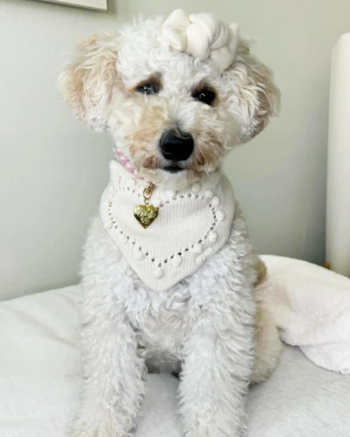 Heartbeats Reversible Dog Bandana - Image 3
