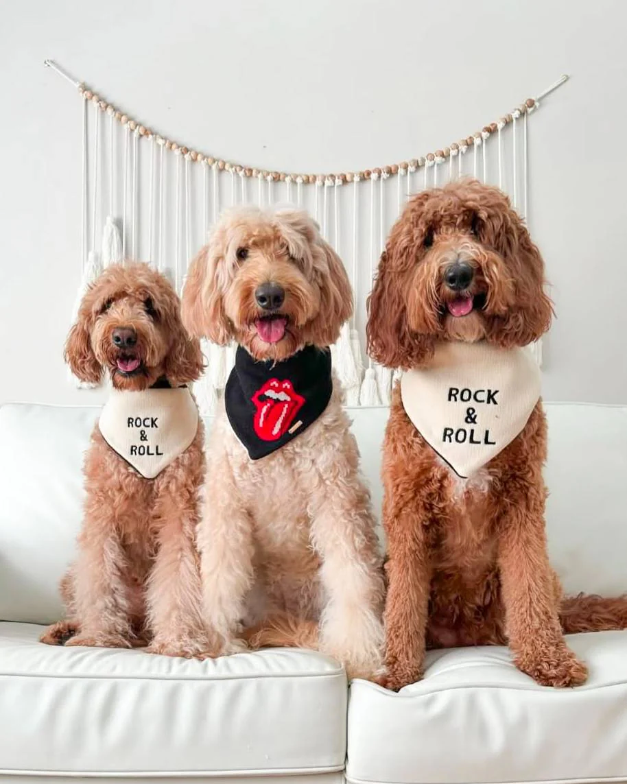 Rock 'n' Roll Over Reversible Dog Bandana - Image 2