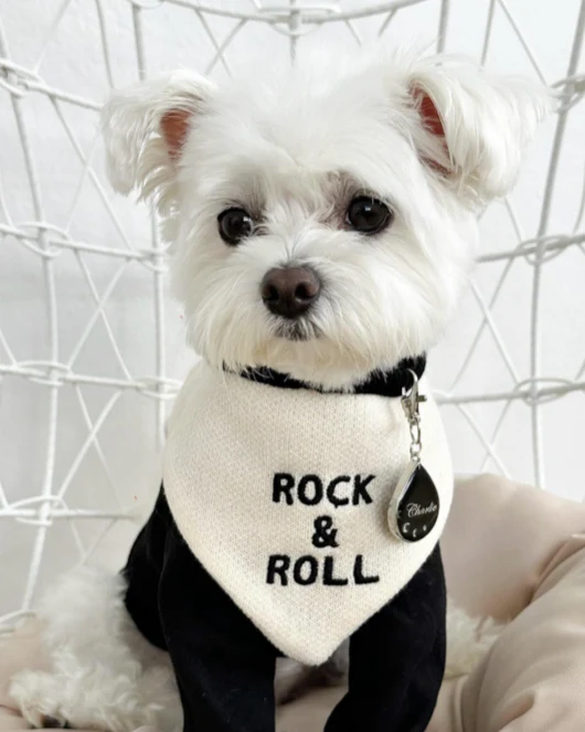Rock 'n' Roll Over Reversible Dog Bandana - Image 5