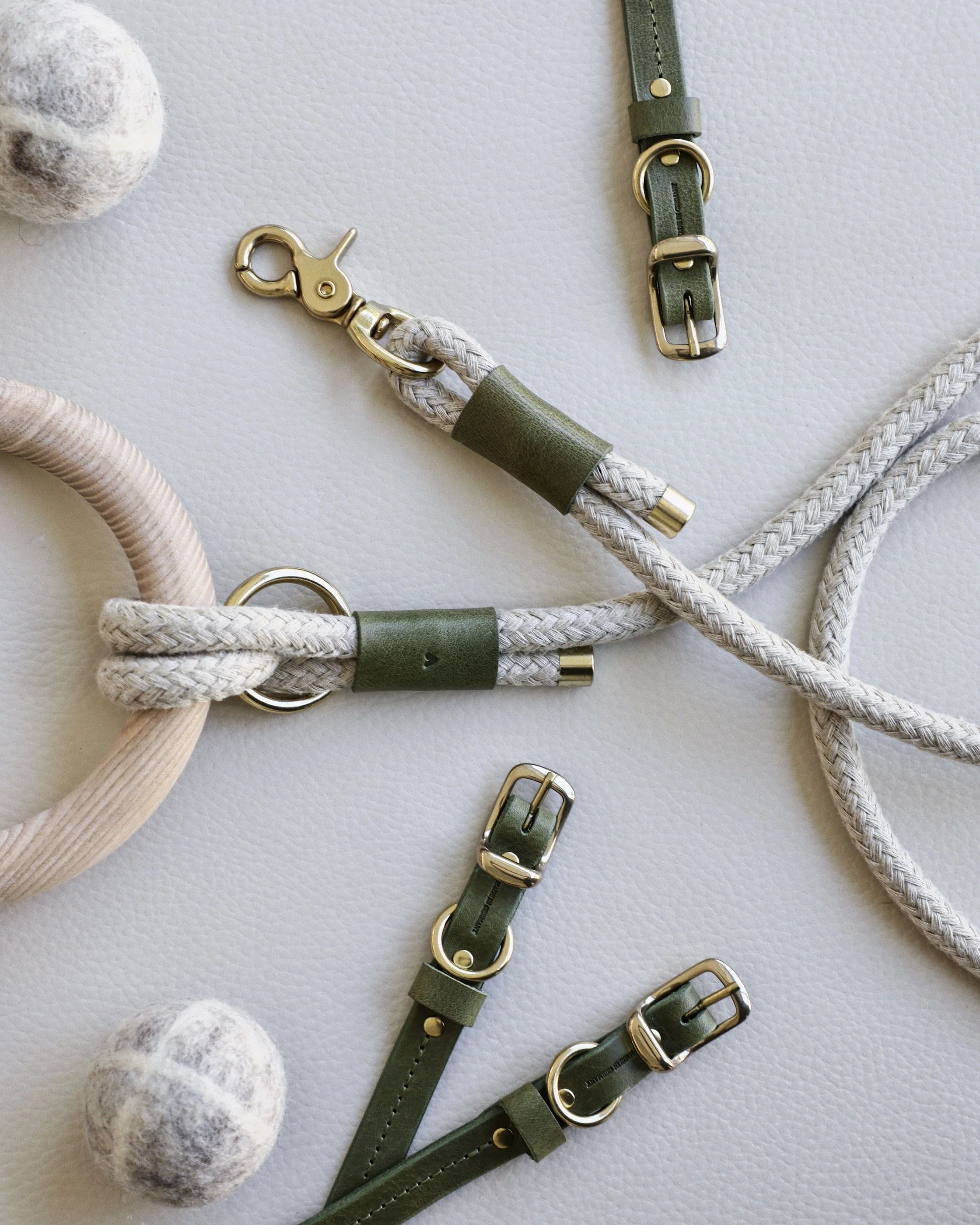 Band & Roll Rope Leash in Moss - Image 2
