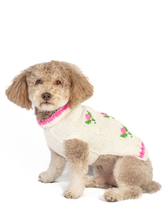 Fur-get Me Not Floral Knit Dog Sweater - Image 3