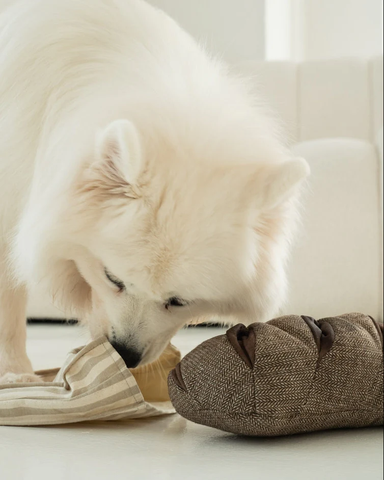 Rye Love You Baguette Dog Toy - Image 3