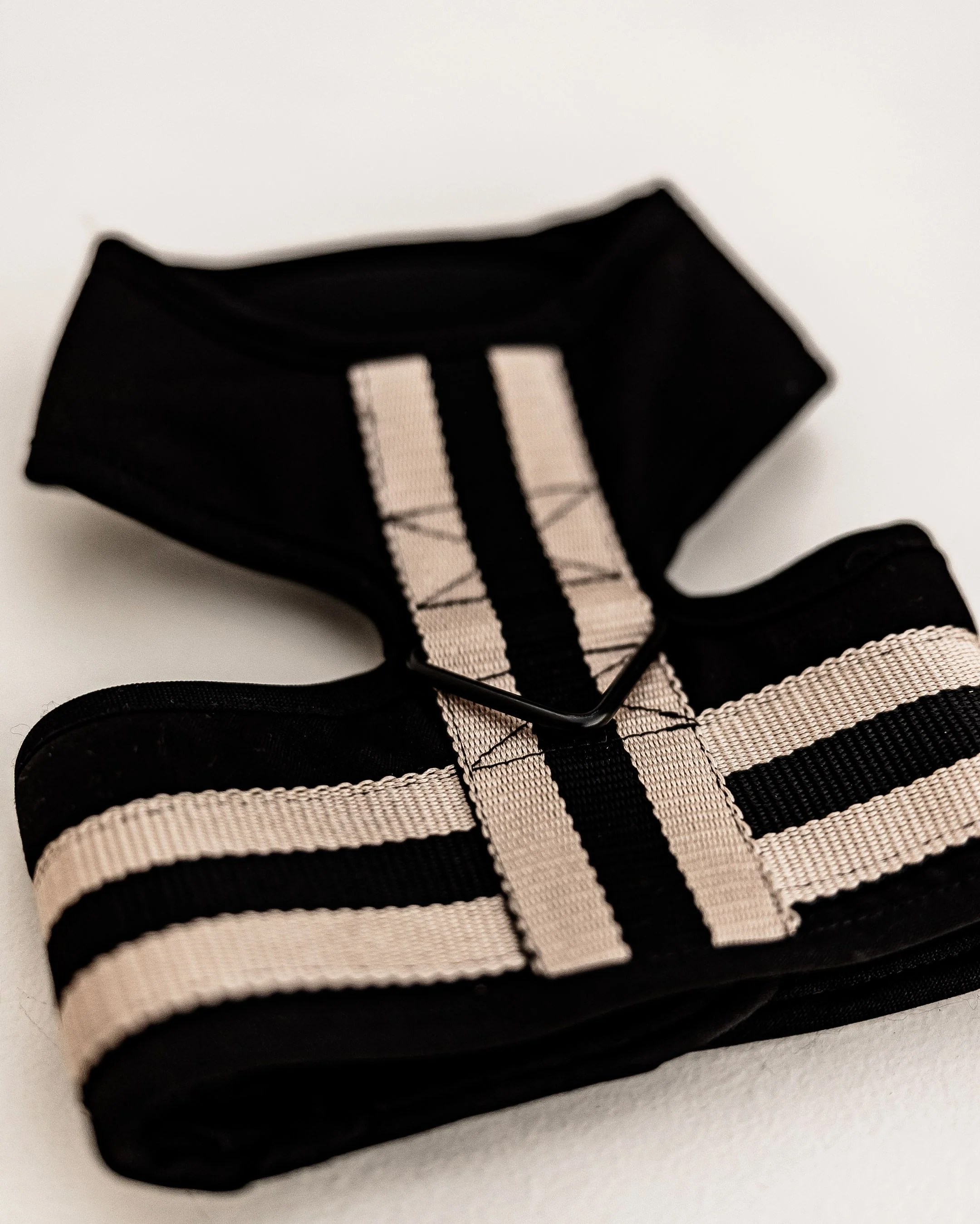 The City Dog Harness in Rue Cambon - Image 2