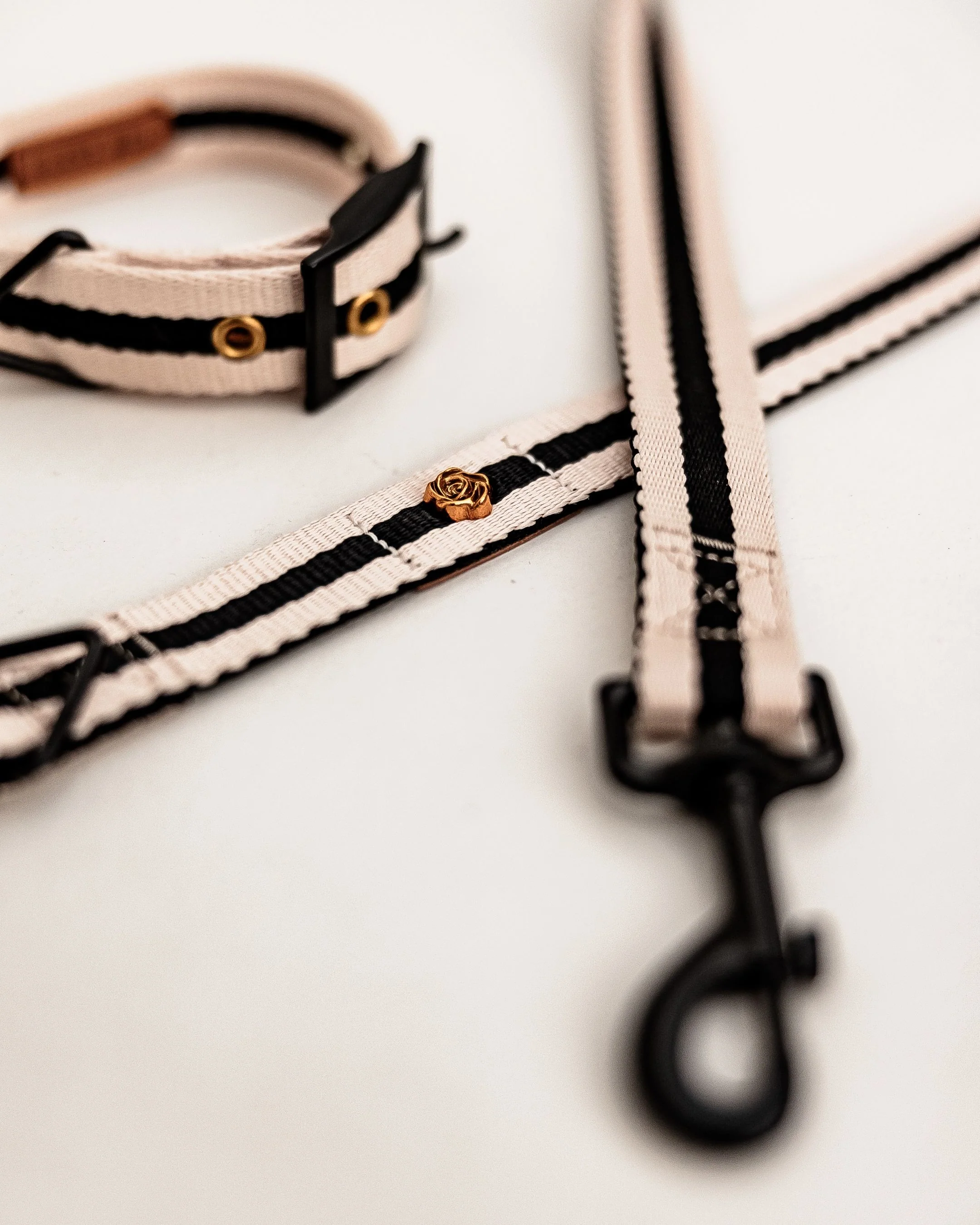 Le Classic Dog Collar in Rue Cambon - Image 4
