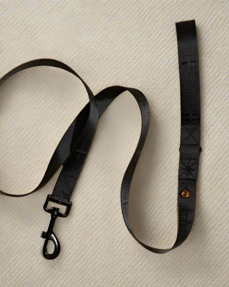 Le Luxe Dog Leash in Neo