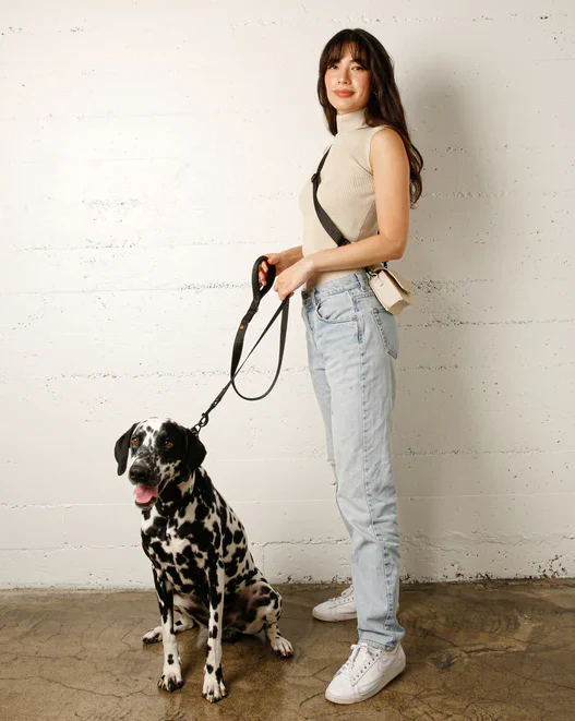 Le Luxe Dog Leash in Neo - Image 2