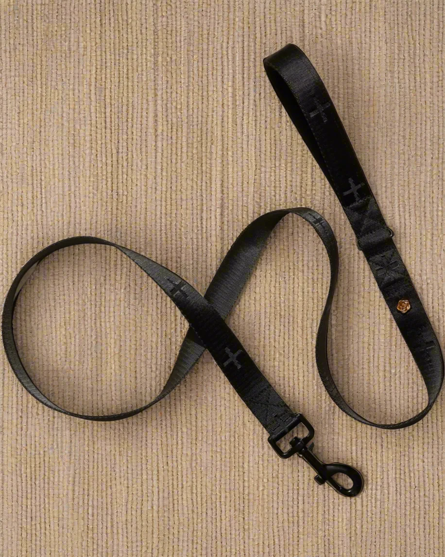 Le Luxe Dog Leash in Neo - Image 5