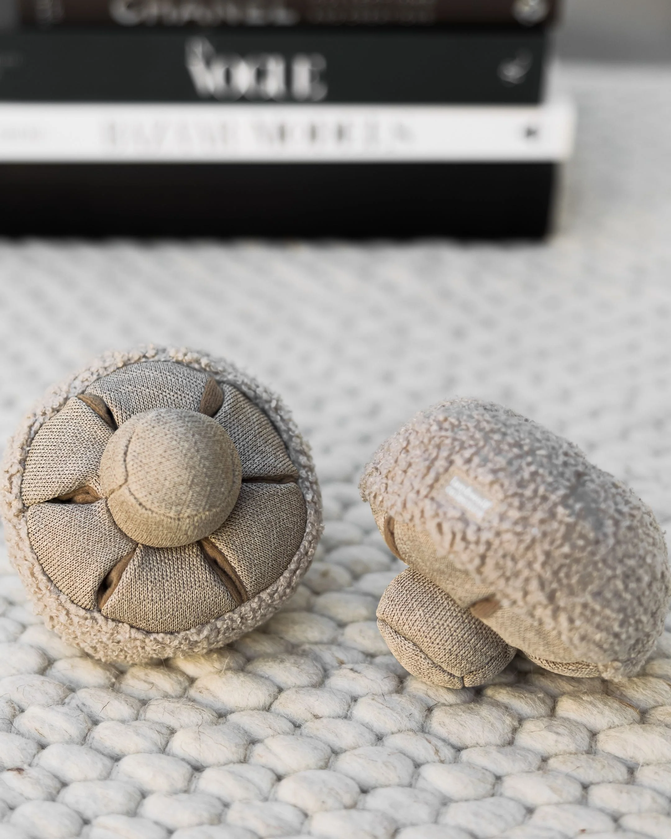 Golden Teacher Snuffle Mushroom - Image 3