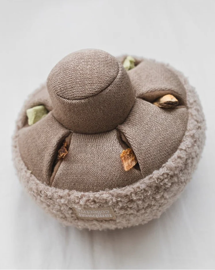Golden Teacher Snuffle Mushroom - Image 6