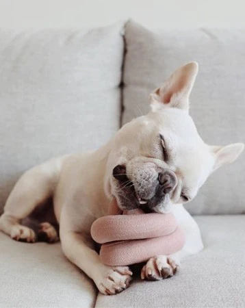 Lola Squeaker Toy in Pink - Image 7