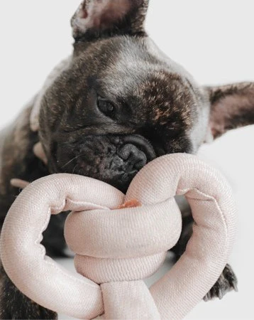 Lola Squeaker Toy in Pink - Image 8