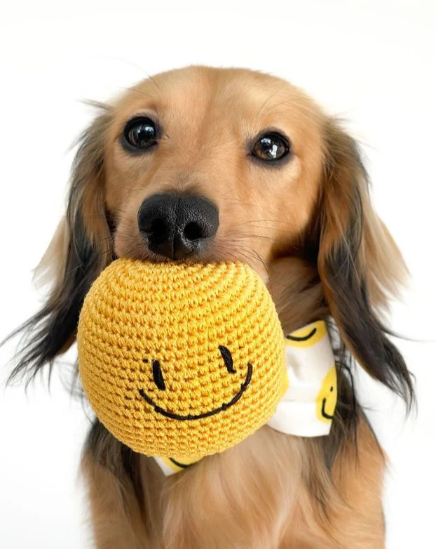 Stella Smiley Face Dog Bow Tie - Image 6