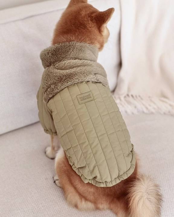 Soho Cute Green Packable Dog Jacket - Image 4