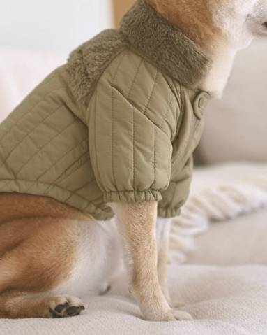 Soho Cute Green Packable Dog Jacket - Image 7