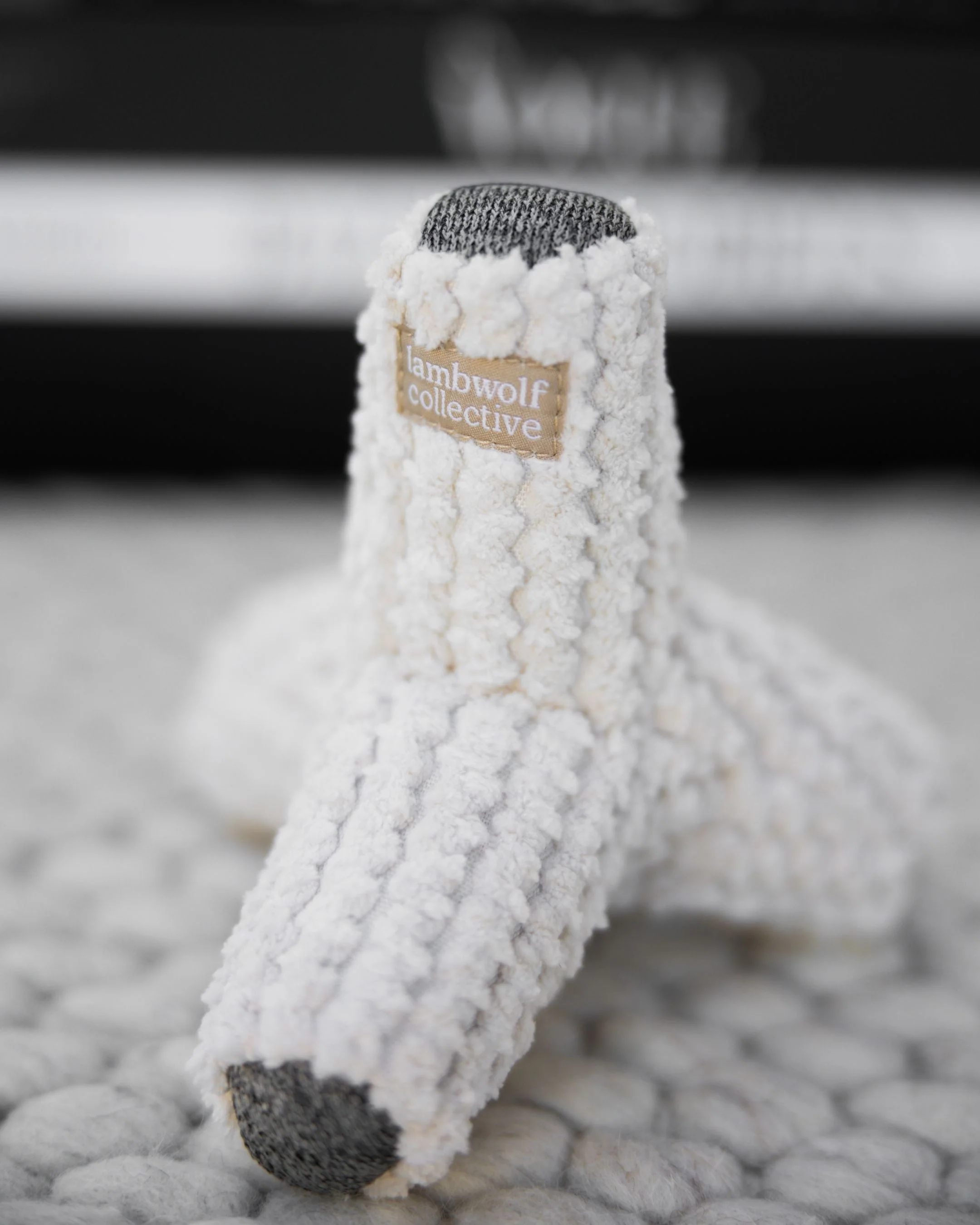 Colby Crinkle Toy in Ivory