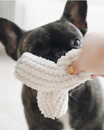 Colby Crinkle Toy in Ivory - Image 7