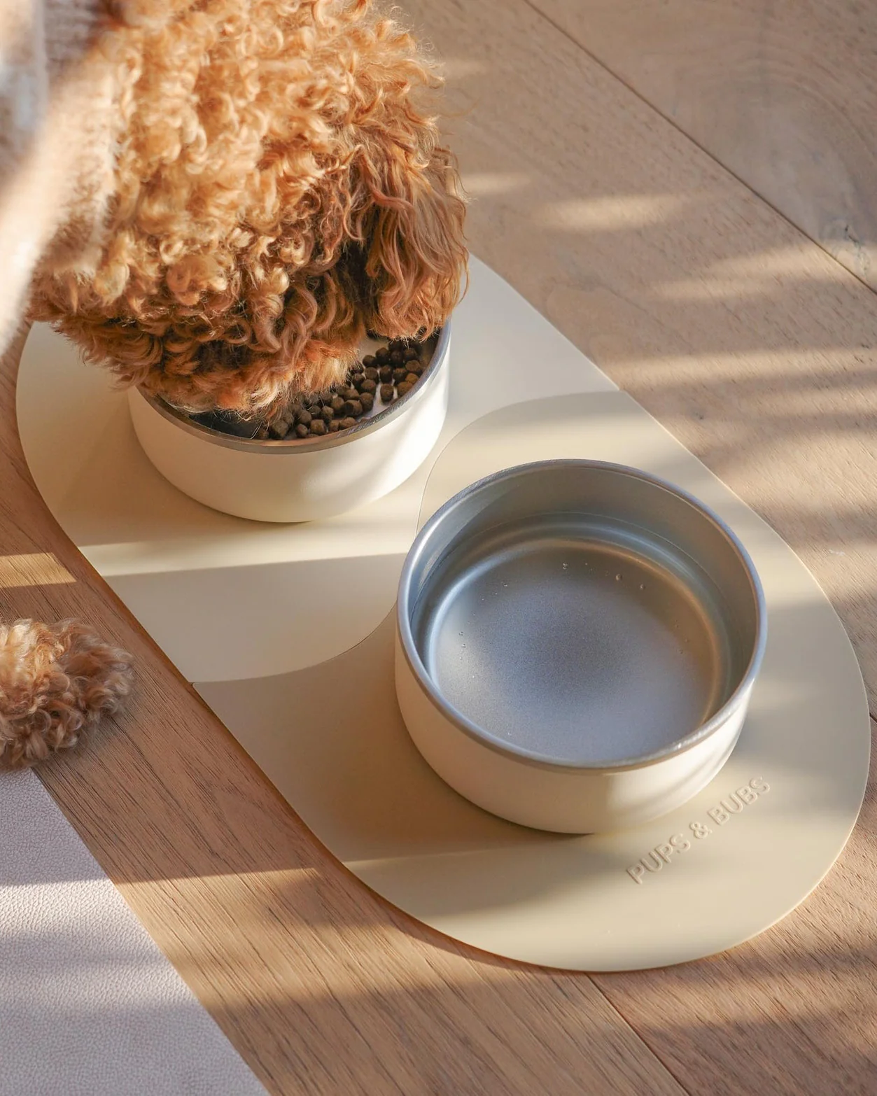 Supper Club Coconut Dog Bowl Set - Image 3