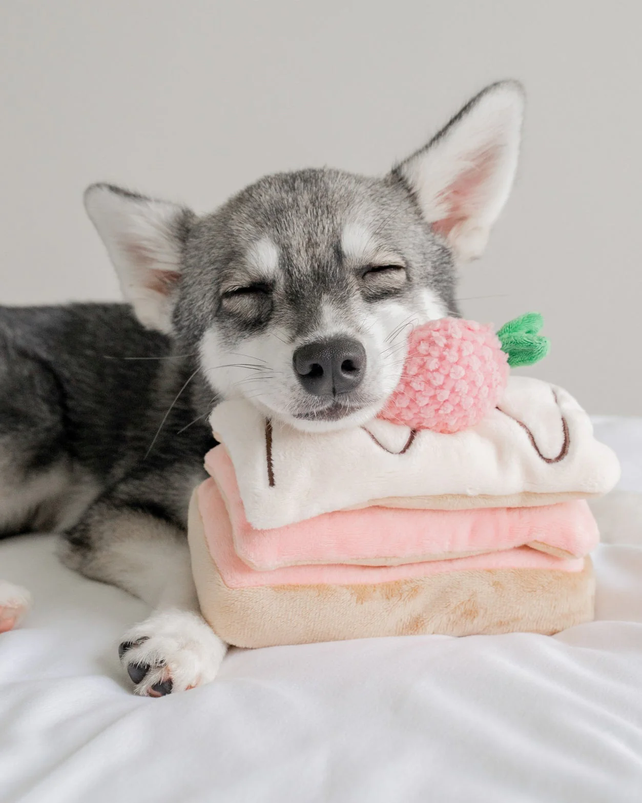 Berry On Top Snuffle Dog Toy - Image 2