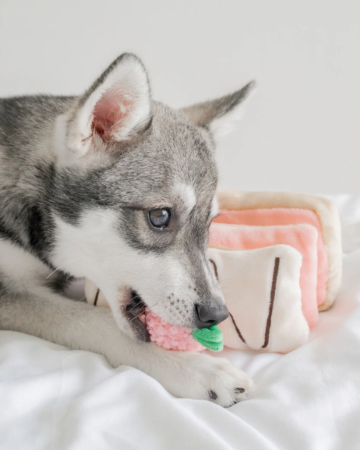 Berry On Top Snuffle Dog Toy - Image 3