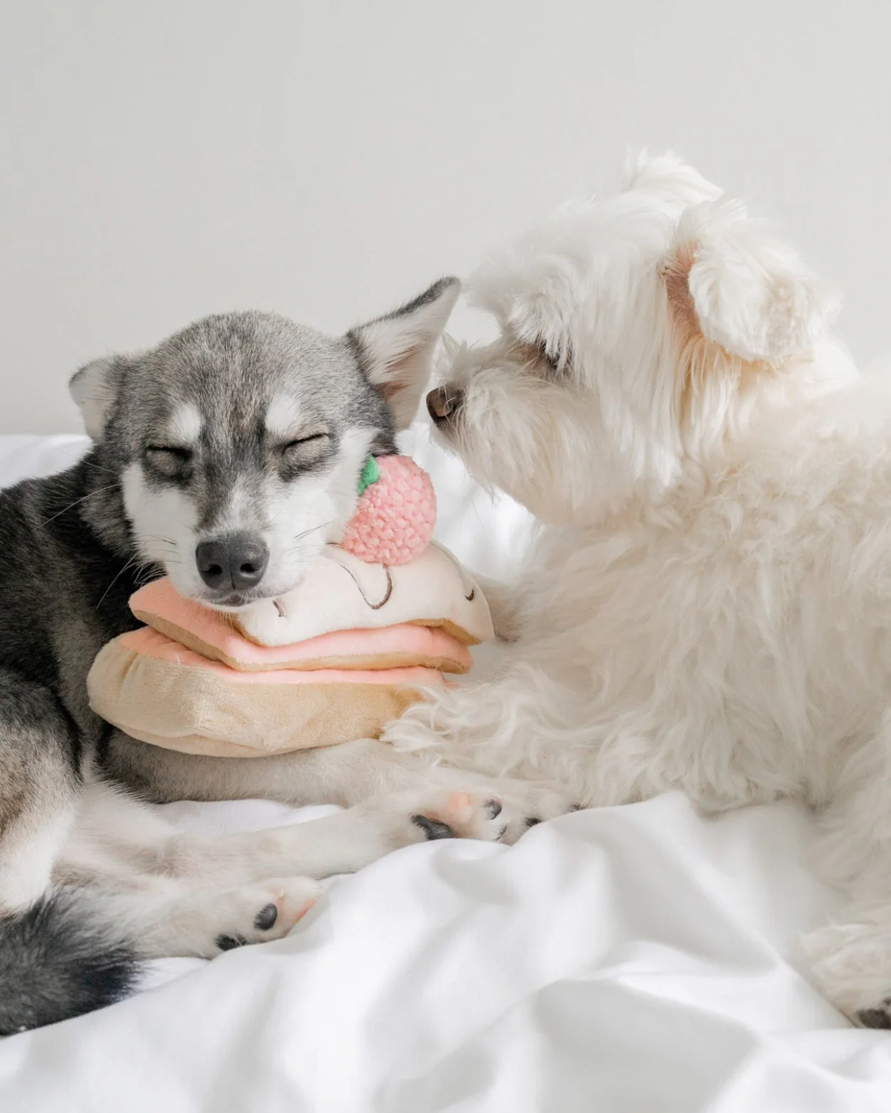 Berry On Top Snuffle Dog Toy - Image 6