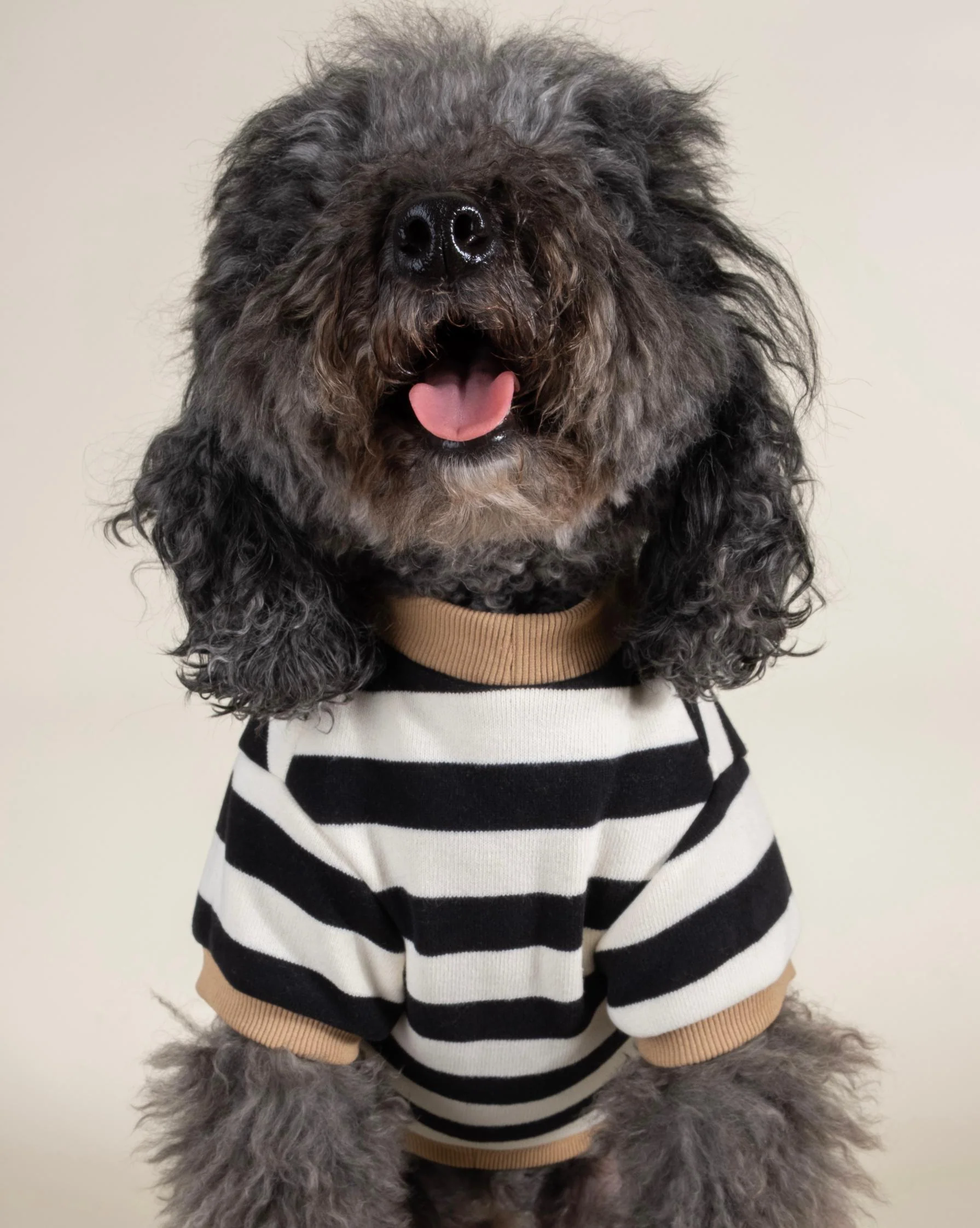 Cooper Black + White Striped Dog Sweatshirt