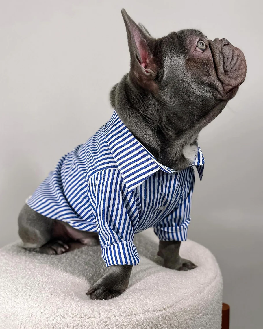 Nantucket Blue + White Striped Button Up - Image 3